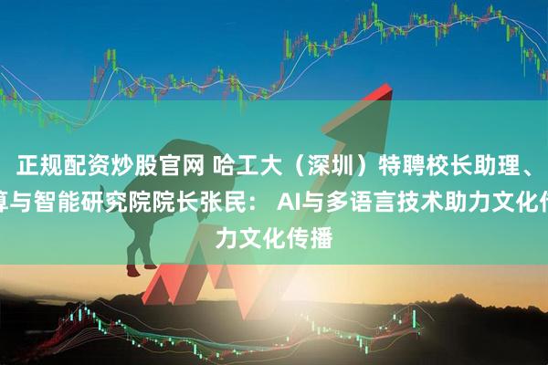 正规配资炒股官网 哈工大（深圳）特聘校长助理、计算与智能研究院院长张民： AI与多语言技术助力文化传播